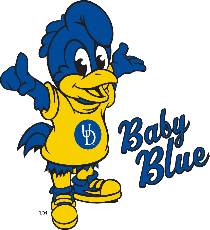 Delaware Blue Hens 2018-Pres Mascot Logo diy iron on heat transfer